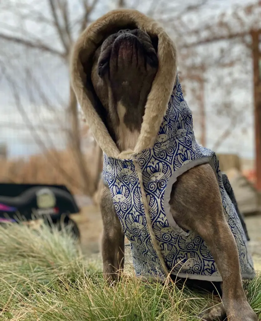 DL JeremyFish Sitting Hood Neck.webp